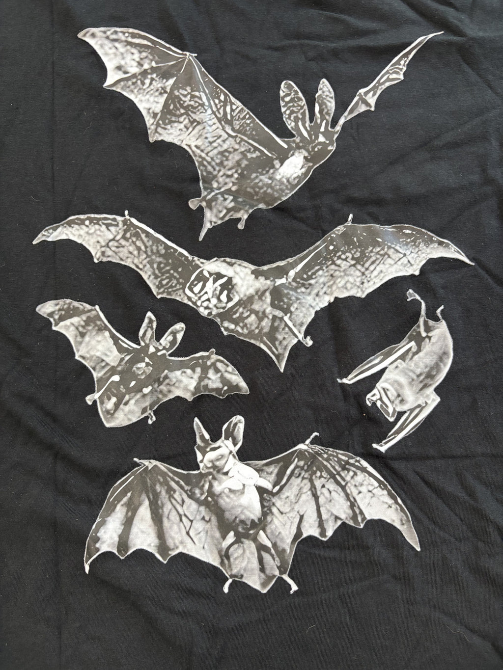 Black Graphic Bat Print T-Shirt Medium