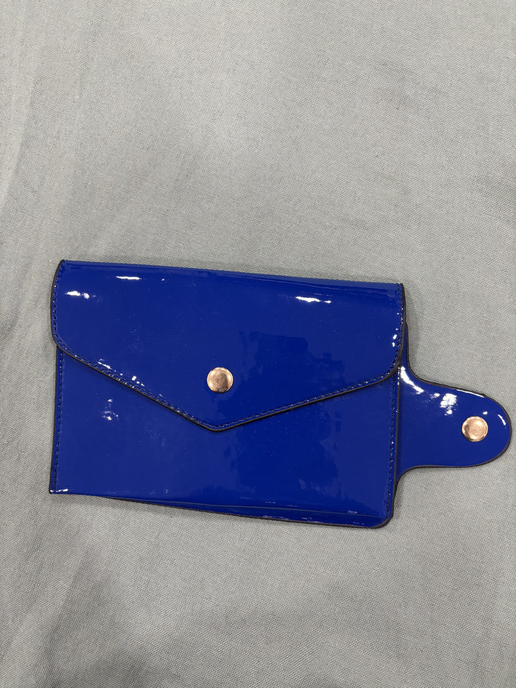 Blue Patent Leather Snake Pattern Handbag
