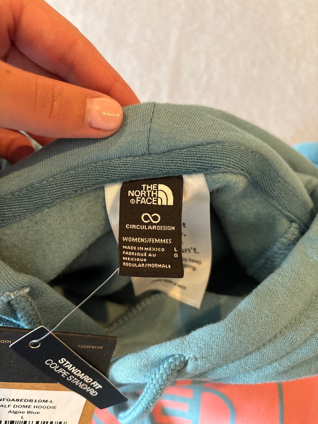 The North Face Women's Half Dome Hoodie in Algae Blue, SizeL